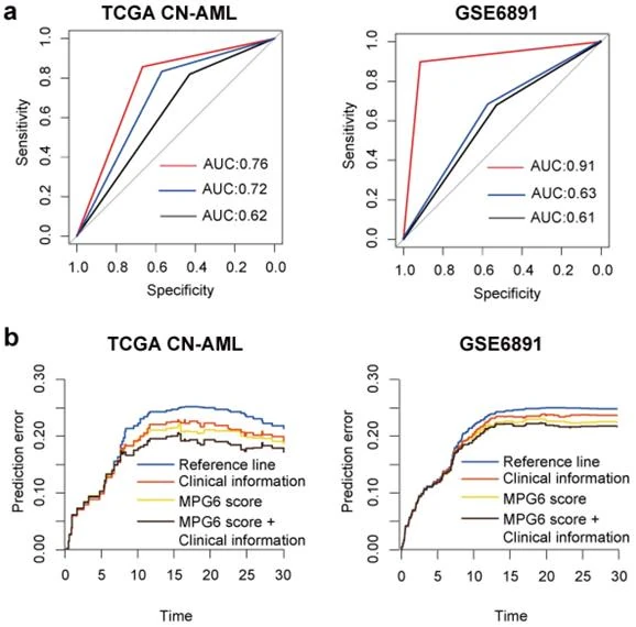 A 6-Membrane Protein Gene score for prognostic prediction of cytogenetically normal acute myeloid leukemia in multiple cohorts