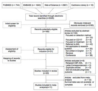 Prognostic Significance of KIT Mutations in Core-Binding Factor Acute Myeloid Leukemia: A Systematic Review and Meta-Analysis