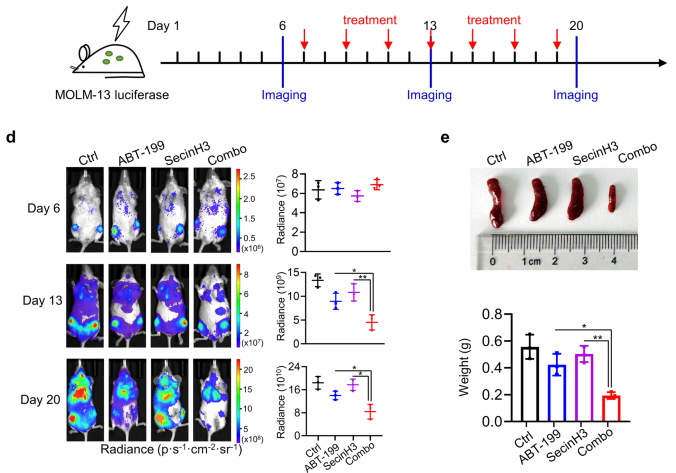 Targeting cytohesin-1 suppresses acute myeloid leukemia progression and overcomes resistance to ABT-199