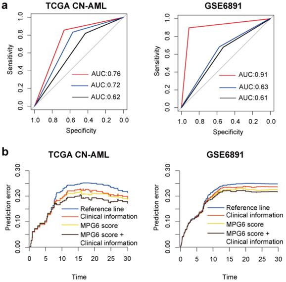 A 6-Membrane Protein Gene score for prognostic prediction of cytogenetically normal acute myeloid leukemia in multiple cohorts