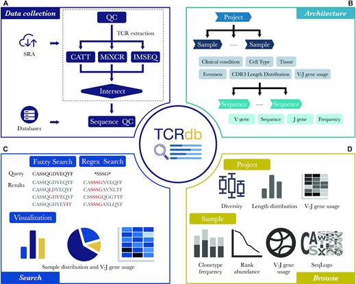 TCRdb: a comprehensive database for T-cell receptor sequences with powerful search function